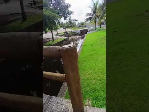 balneário Mucurici.. Espírito santo..#balneariomucurici