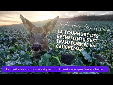 Un jeudi photo qui dérape dans mon joli Vexin