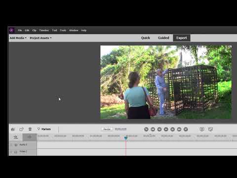 Basic Training for Premiere Elements 2021, Part 2 of 8