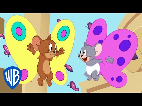 Tom & Jerry - Easy Simple Past Practice - Regular and Irregular