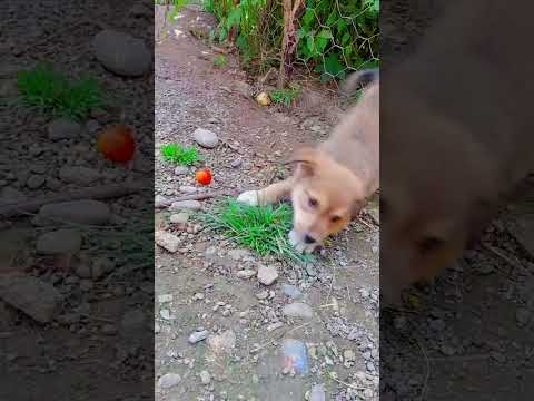 ۲۱ سپتامبر ۲۰۲۵