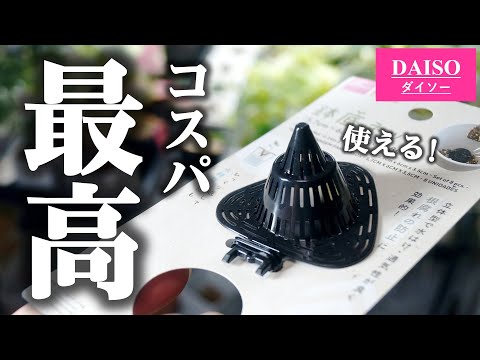 園芸 外のミニ鉢植えの食虫植物