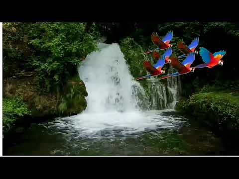 02 Enjoy Blissfully: Refreshing Relaxing Music Collection