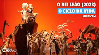 O Rei Leão 2023 - 'O Ciclo da Vida' Multicâmeras (Circle of Life)