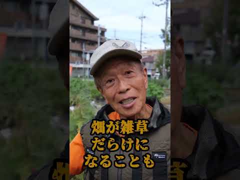 家に置いておきたい庭の薬用植物