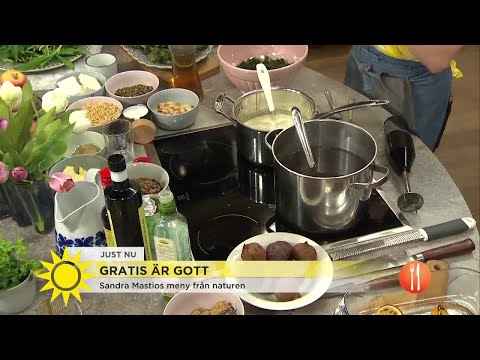 Gratis är gott! - Sandra Mastio lagar mat från naturen - Nyhetsmorgon (TV4)