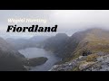 Wapiti Hunting Fiordland NZ