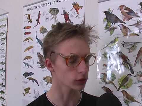 Digináves Broumov – Invaze labutí do Broumova 2008