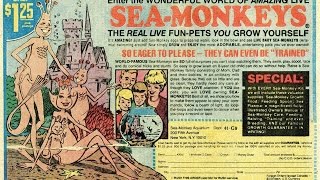 Will Acidic Sea Monkeys Kill the World's Oceans?!