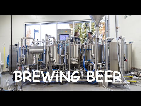 How to Make Beer? - A Complete Guide to Beer Making Process (The Journey of Beer from Malt to Glass)