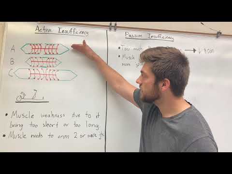 Active Insufficiency vs Passive Insufficiency
