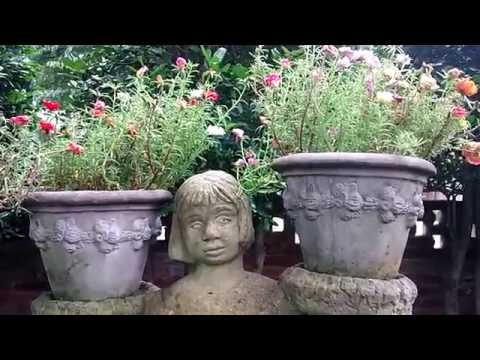 The Sad Girl (Short Film)