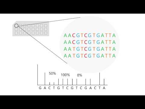 Pyrosequencing: how to interpret results