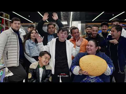 maloy - bergi 2024 #maloybergi