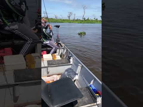 Pesca esportiva no Rio Paraguai em Cáceres