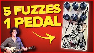 Video thumbnail for 5 RIPPING FUZZ CIRCUITS FOR THE PRICE OF 1 - Walrus Audio Eons Fuzz Unboxing and Review by TheGuitarGeek