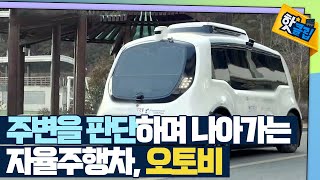 [핫클립] 운전자가 없는 자율주행차, 오토비 / YTN 사이언스