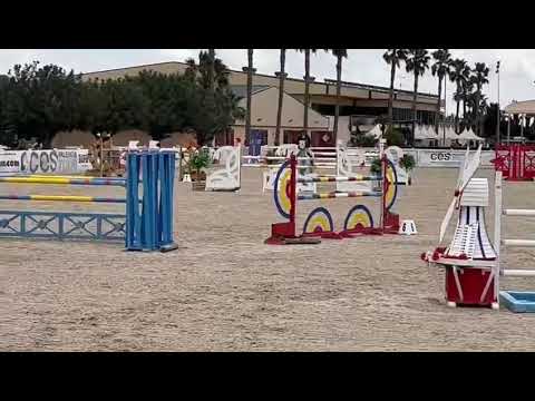 Quistria du Bois (LE COULTRE DE MUZE) et Guillaume Batillat - CSI 7 ans Valence
