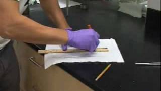 TLC-Advanced | MIT Digital Lab Techniques Manual