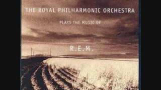 Galopp Und Schrittlieder Pferde Dressurreiten Kur