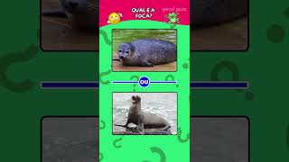 Qual é o animal certo? Quiz animais #quiz #animal