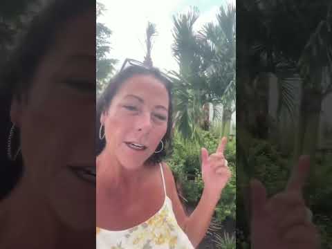 Palermo Model Home Tour | Esplanade at Kingston, Southwest Florida