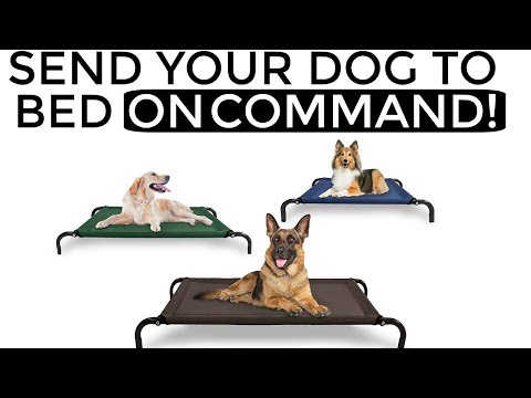 How to teach your dog to go to their bed ON COMMAND- The easiest dog training process