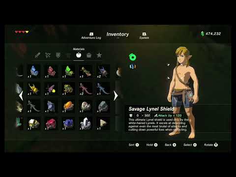 Game Crash - Hold Prompt Entanglement - Breath of the Wild