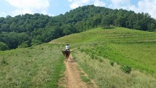 Horseback Riding