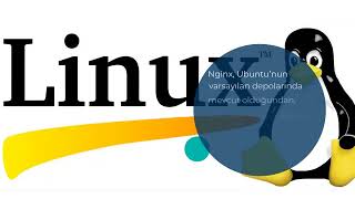 Ubuntu 20.04 üzerine Nginx nasıl kurulur?