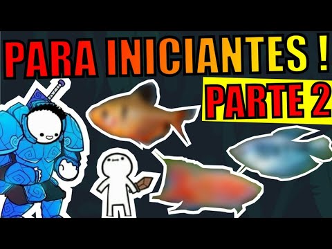 🔴TOP 5: EASIEST FISH FOR BEGINNERS (PART 2)|Mr. Betta|