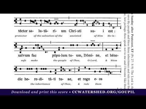 INTROIT • 6th Sunday after Pentecost (“Dominus fortitudo plebis suae”)