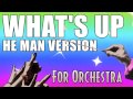 4 Non Blondes 'What's Up' (He-Man Version ...