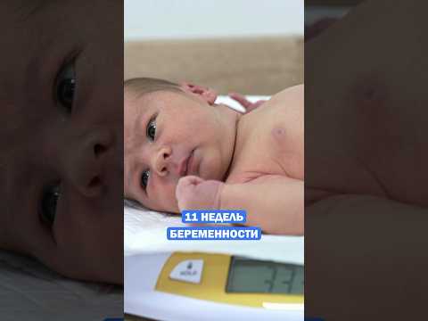Как набирает вес ВАШ МАЛЫШ - 29 недель беременности/ Малыш весом 1100 грамм #беременность #роды