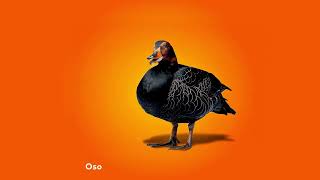 Euskaltel Ospatu Black Friday Black Packekin! anuncio