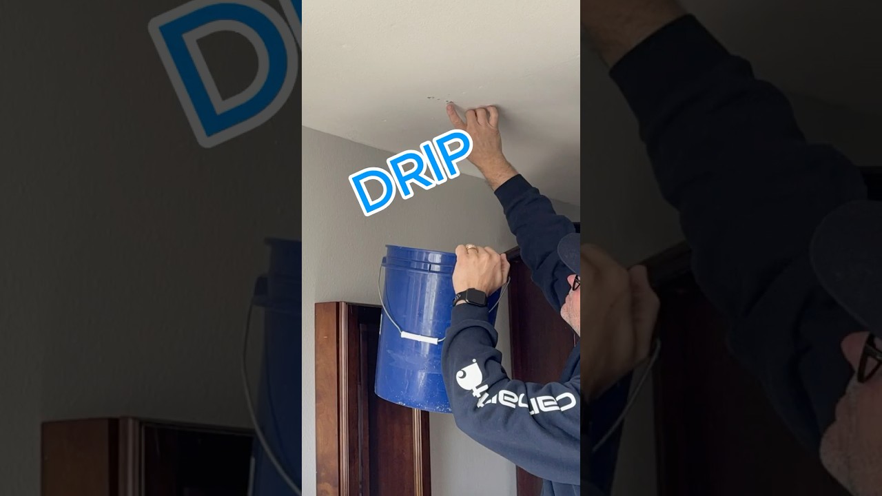 Roof Maintenance Process