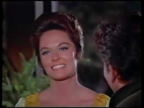 Bonanza - La guerra llega a Washoe