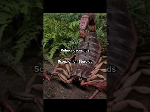 Scary Prehistoric Animals 💀