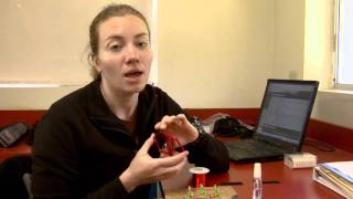 Social Structure in Western Bluebirds