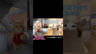 楽器屋さんで初めてレスポールを買った時の話【猫ミーム】#猫ミーム #猫ミーム日常#shorts#short #ギター#guitar