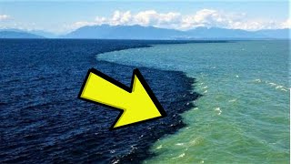 Ecco Perchè Questi 2 Oceani NON Si Mischiano