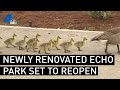 Newly Renovated Echo Park Lake Set to Reopen  | NBCLA