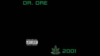 Dr  Dre   Some L A  Niggas feat  Kokane   Chronic 2001