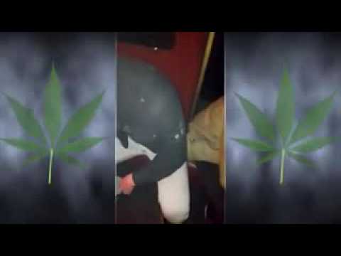 Lim mannequins challenge jumo fyenso