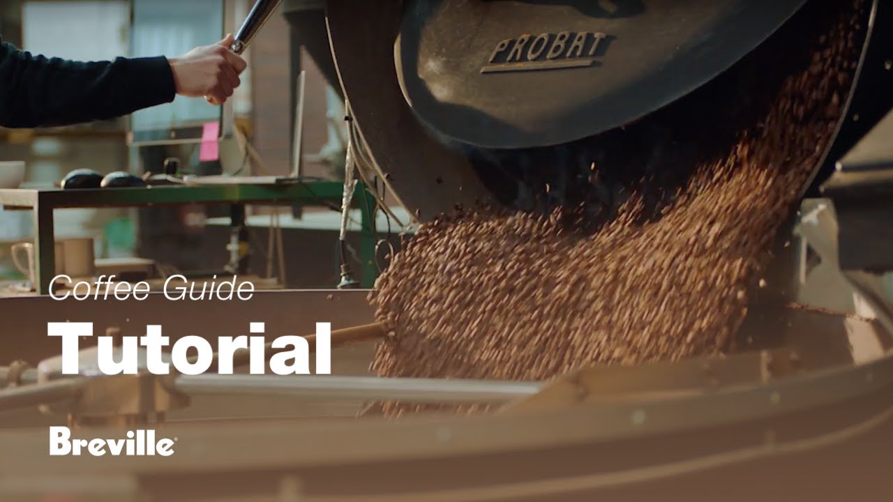 Breville coffee guide tutorial - Choosing the right beans 