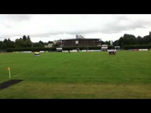 OSC Vellmar U23 : 1.FC Schwalmstadt