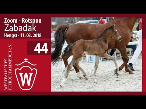 44 Zabadak HF v. Zoom - Rotspon