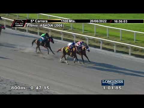 220820 c05 BIEN CLARA