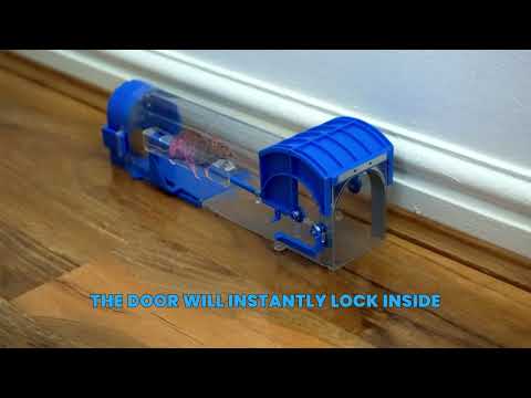 How to Set sarkman Humane Traps?