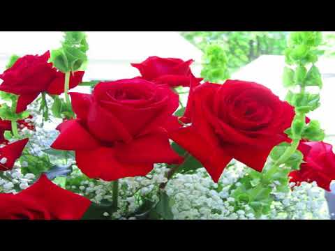 Aman çeşme canım çeşme|İLAHİLER